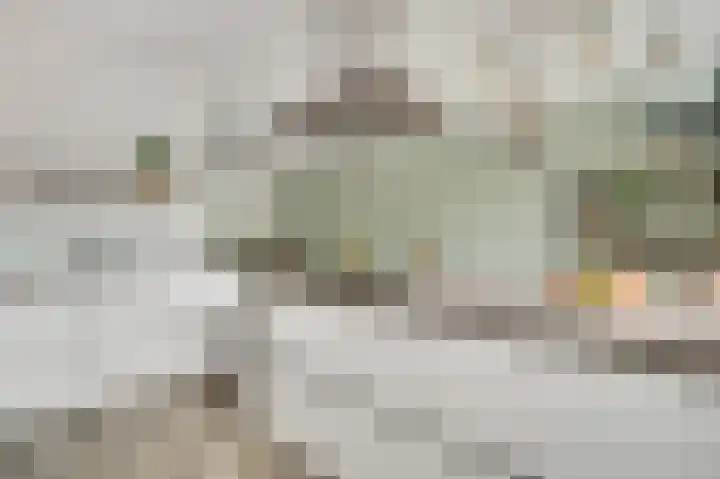 Groene Specht 6 Eijsden thumbnail 7