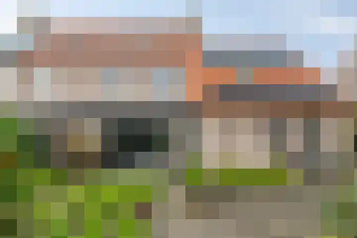Groene Specht 9 Zeewolde thumbnail 23