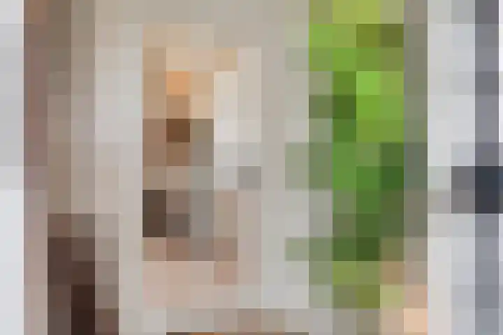 Groene Specht 9 Zeewolde thumbnail 5