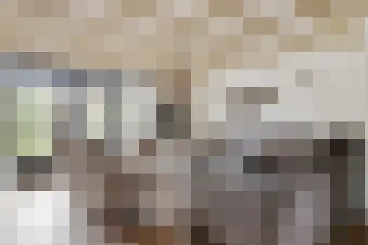 Groene Specht 9 Zeewolde thumbnail 6