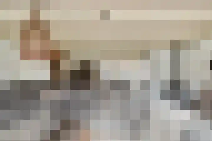 Groene Specht 9 Zeewolde thumbnail 8
