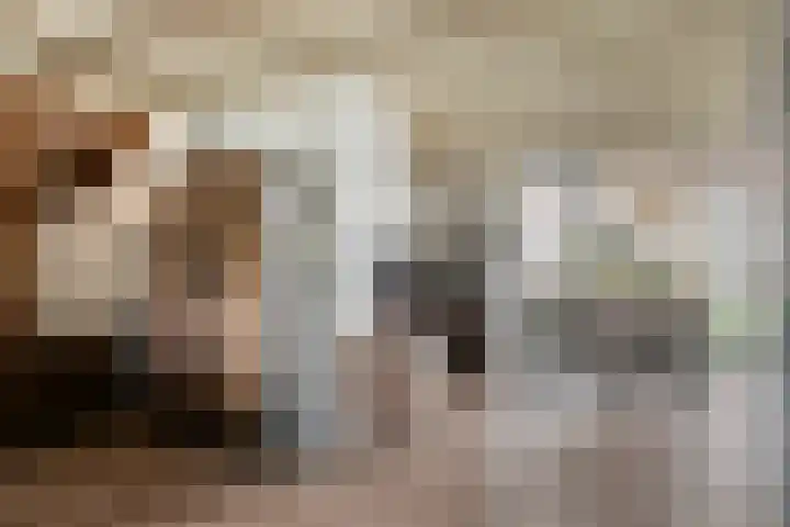 Groene Specht 9 Zeewolde thumbnail 9