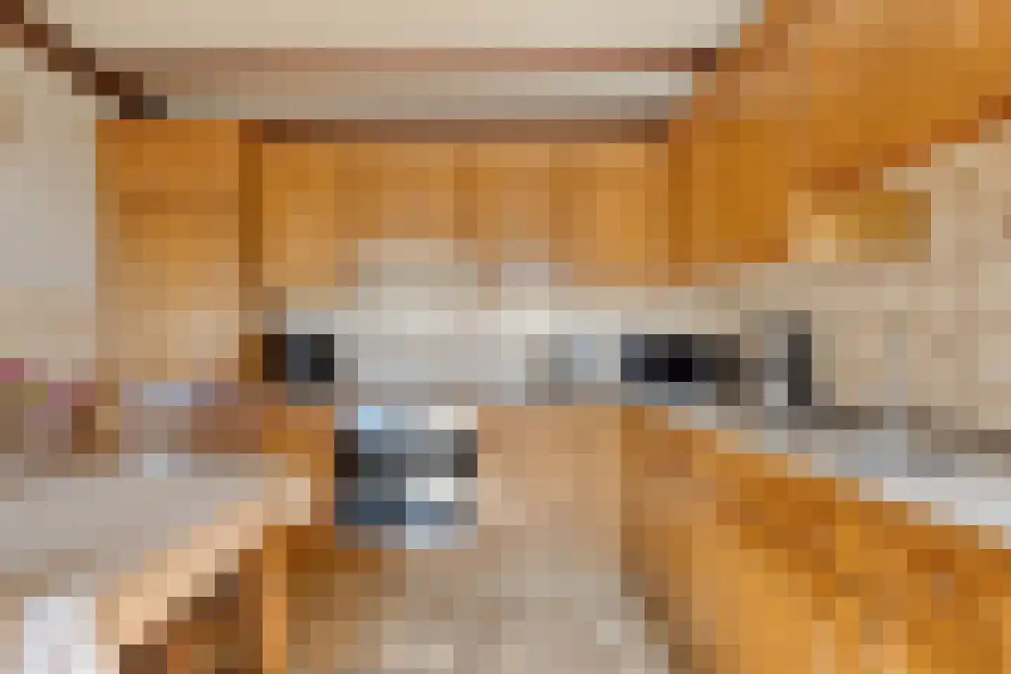 Groene Streep 1 Afferden L thumbnail 15