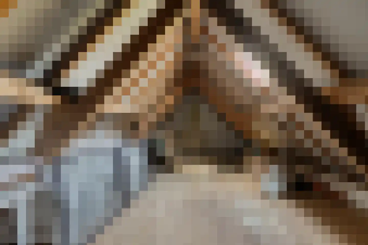 Groene Streep 1 Afferden L thumbnail 24