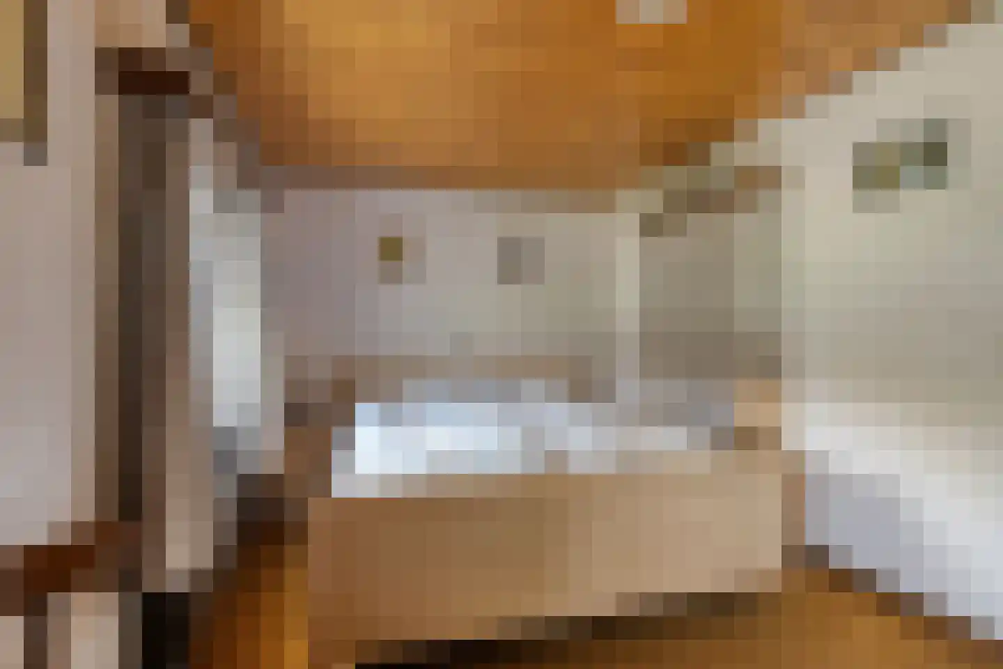 Groene Streep 1 Afferden L thumbnail 28