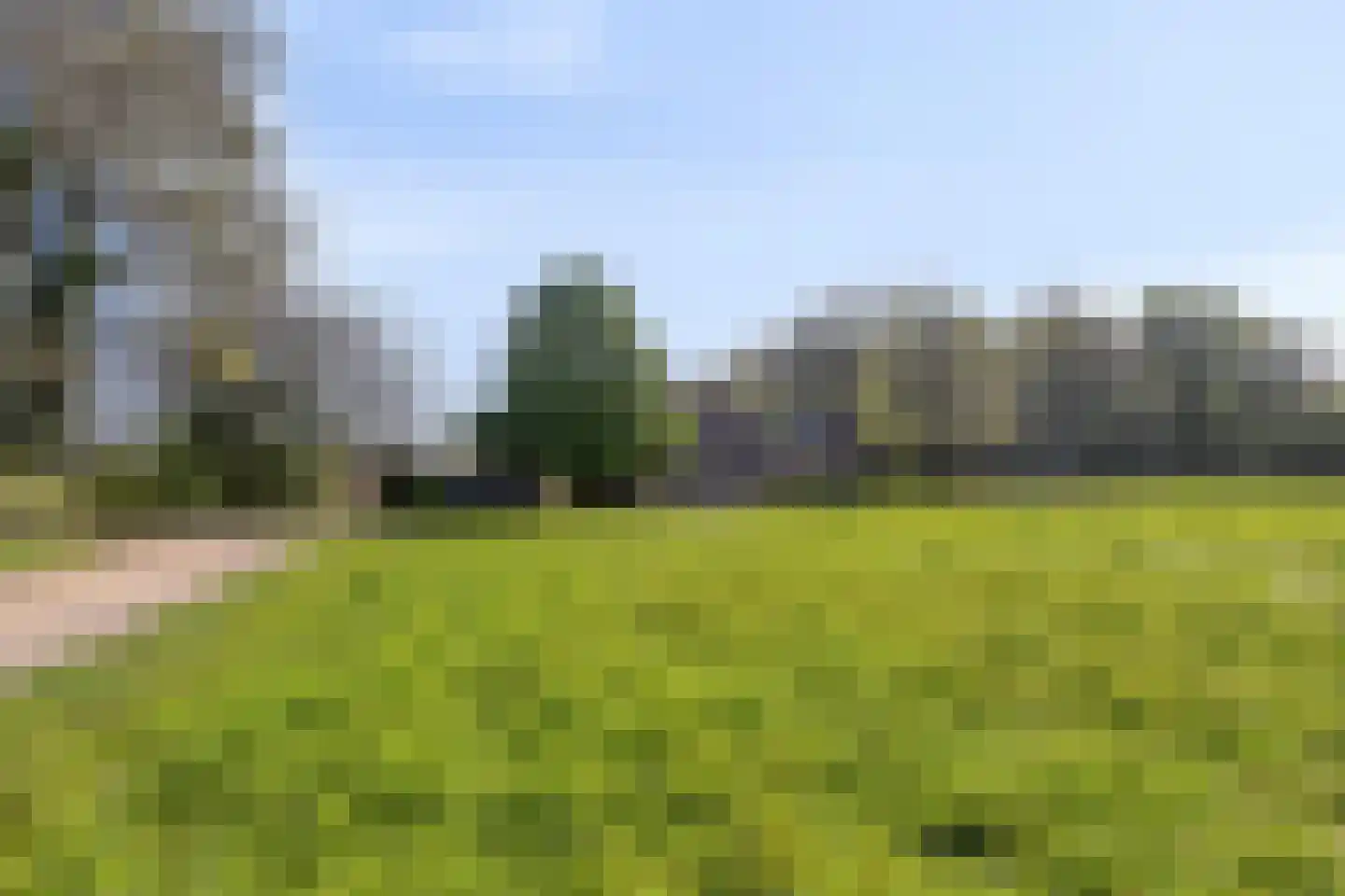 Groene Streep 1 Afferden L thumbnail 37