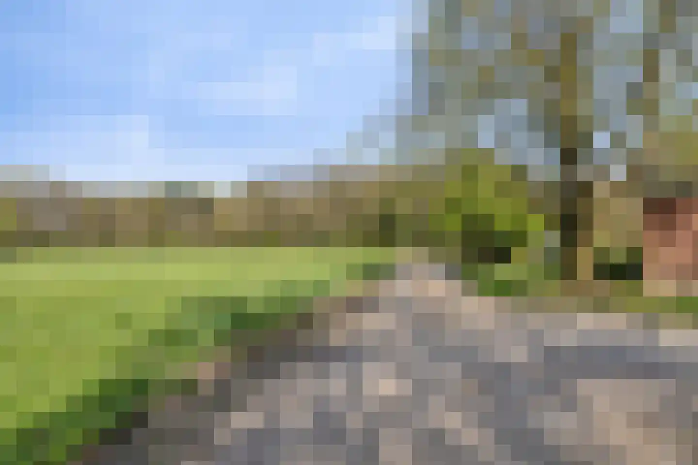 Groene Streep 1 Afferden L thumbnail 39