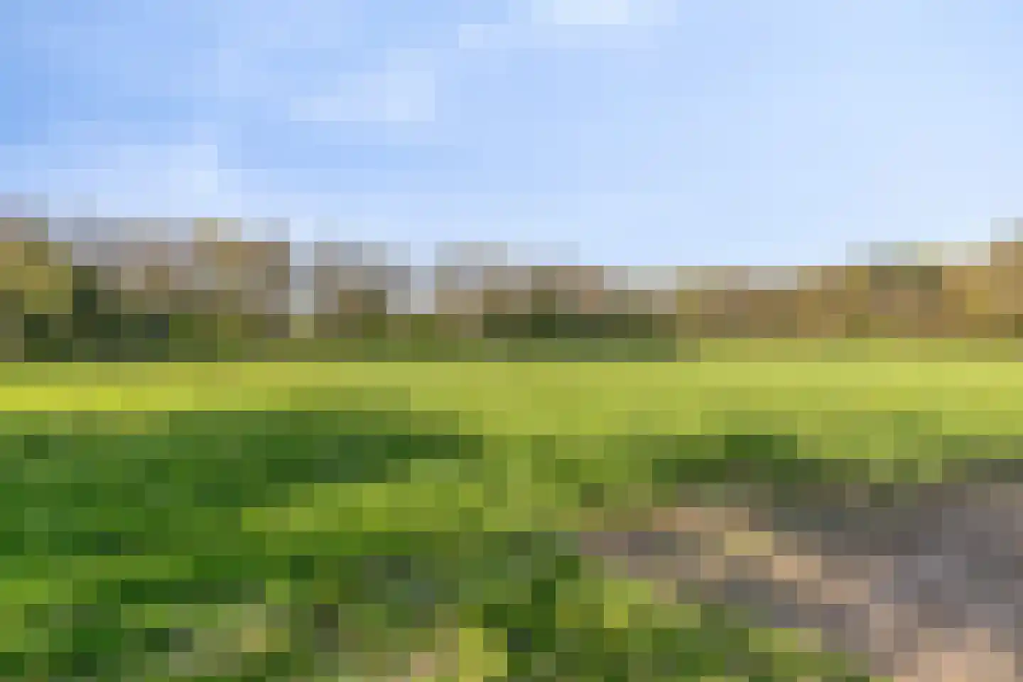 Groene Streep 1 Afferden L thumbnail 40