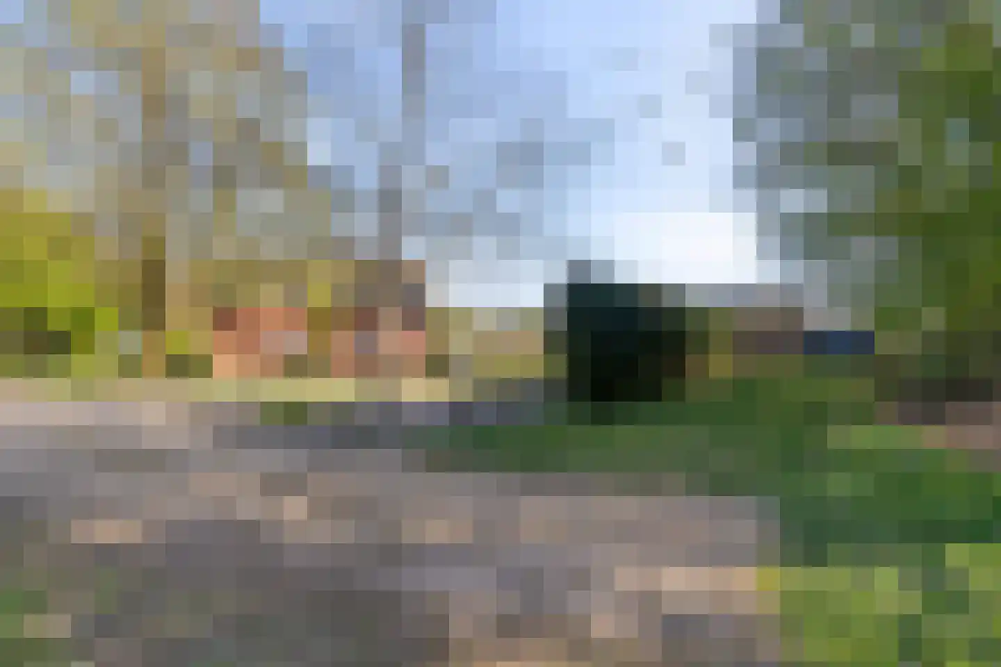 Groene Streep 1 Afferden L thumbnail 41