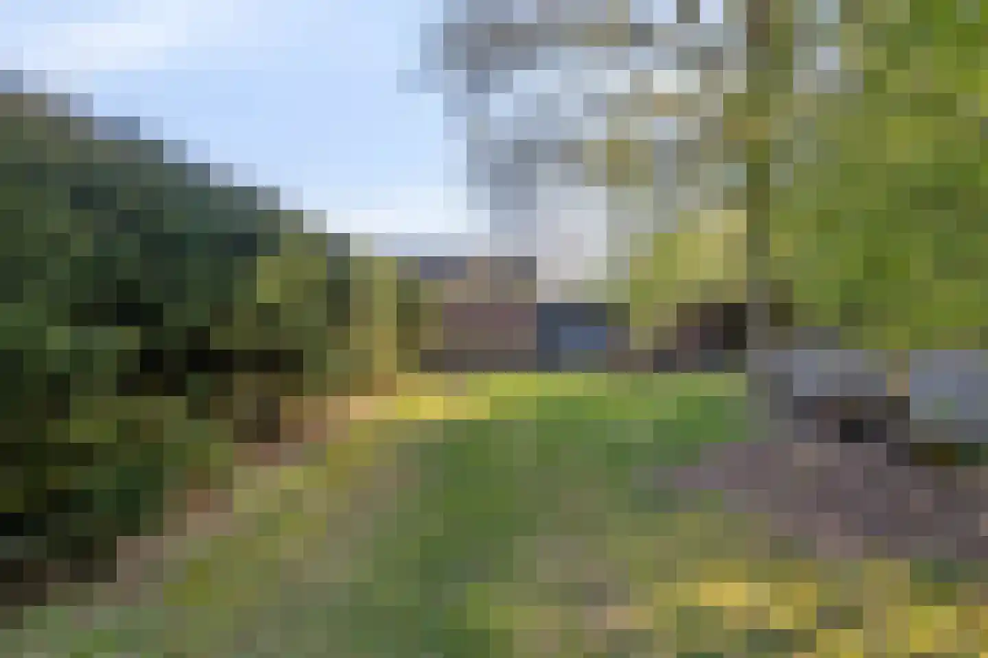 Groene Streep 1 Afferden L thumbnail 42