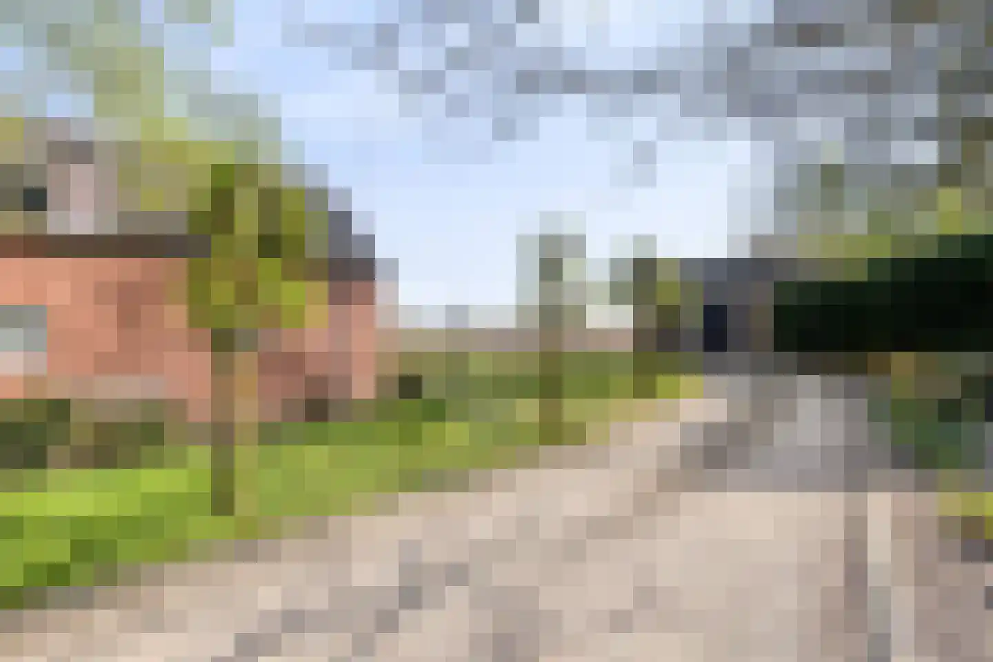 Groene Streep 1 Afferden L thumbnail 43