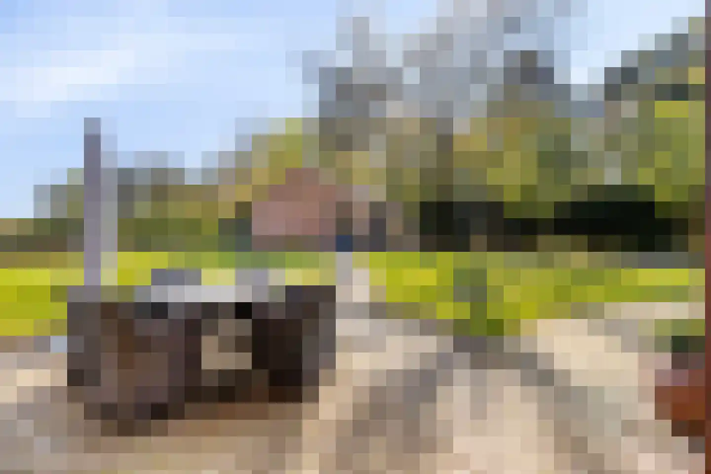 Groene Streep 1 Afferden L thumbnail 45