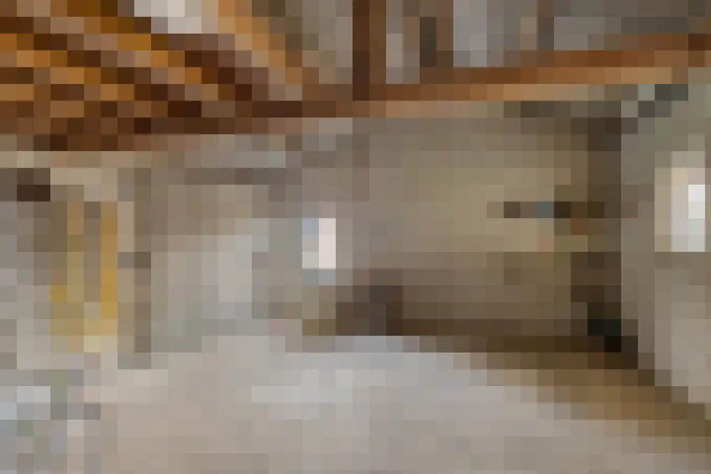 Groene Streep 1 Afferden L thumbnail 48