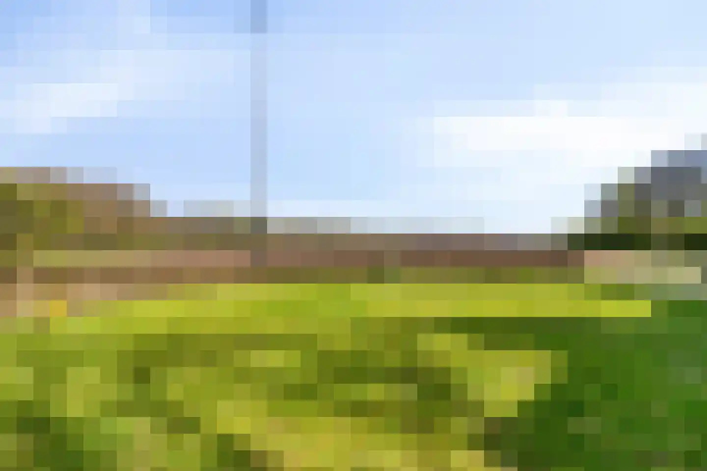 Groene Streep 1 Afferden L thumbnail 50