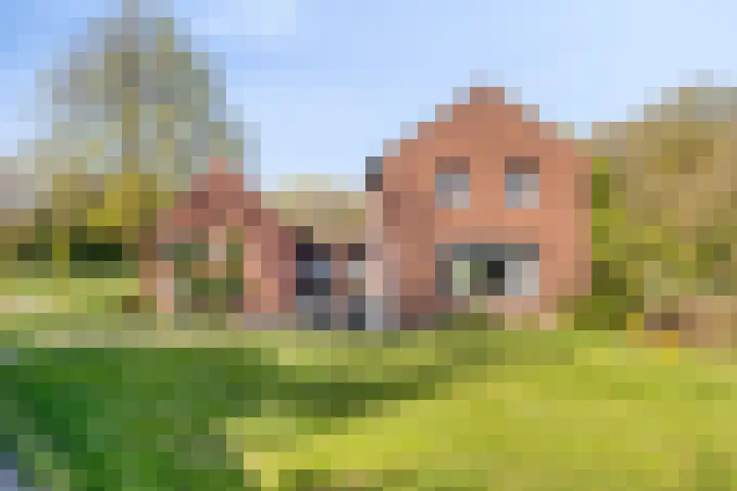 Groene Streep 1 Afferden L thumbnail 53