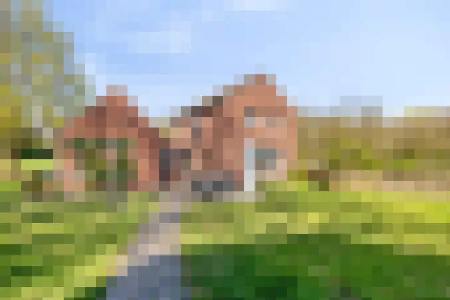 Groene Streep 1 Afferden L thumbnail 54