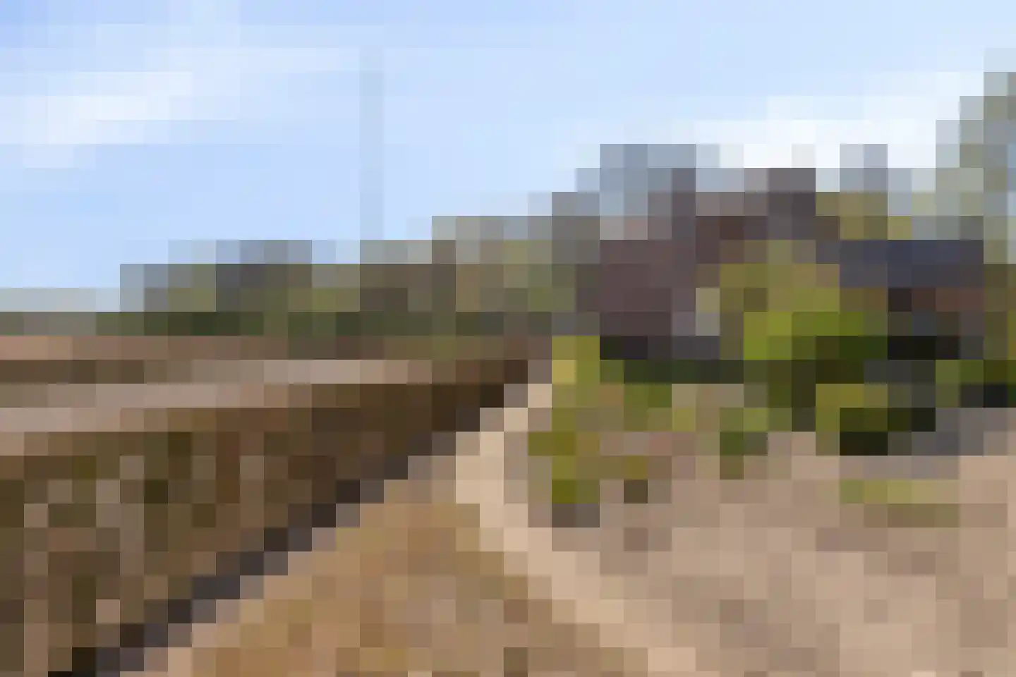 Groene Streep 1 Afferden L thumbnail 56