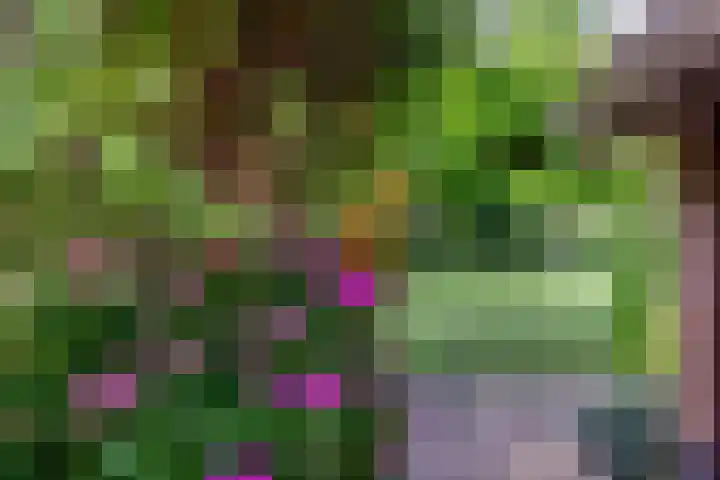 Groene Velden 145 Lelystad thumbnail 37