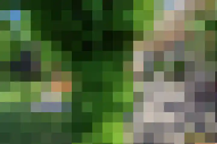 Groene Velden 145 Lelystad thumbnail 38