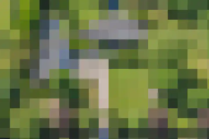 Groene Velden 145 Lelystad thumbnail 4