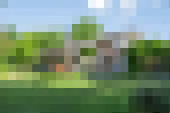 Groene Velden 145 Lelystad thumbnail 41