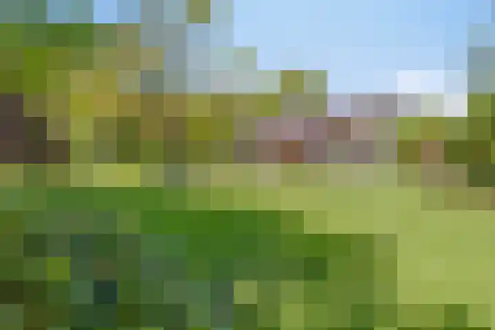 Groene Velden 145 Lelystad thumbnail 47