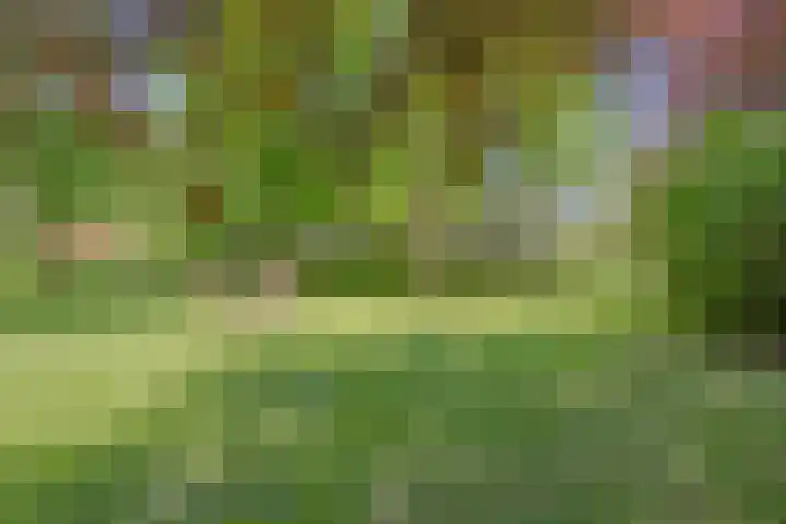 Groene Velden 145 Lelystad thumbnail 48