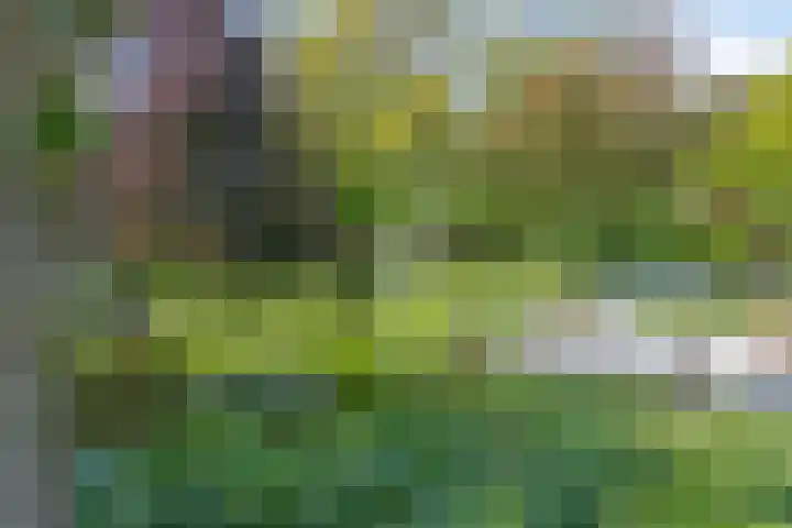 Groene Velden 145 Lelystad thumbnail 50