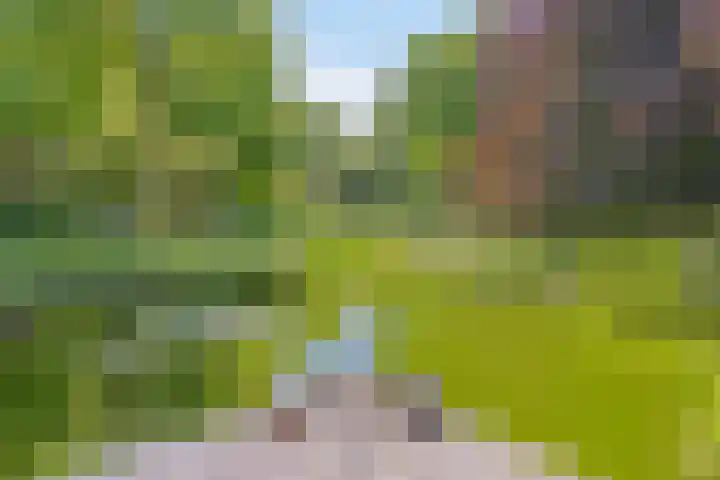 Groene Velden 145 Lelystad thumbnail 51