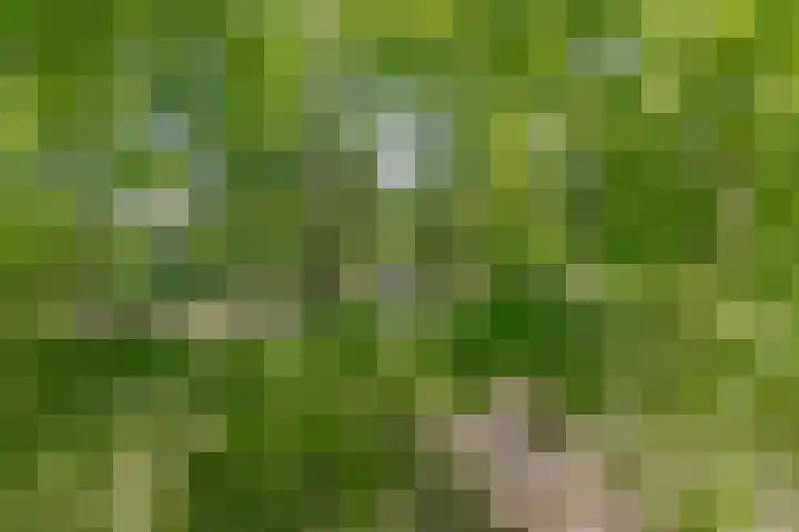 Groene Velden 145 Lelystad thumbnail 58