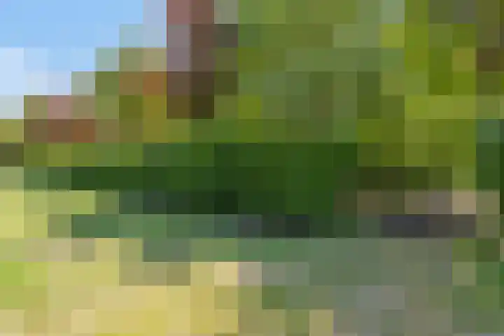 Groene Velden 145 Lelystad thumbnail 59