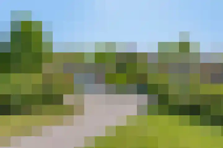 Groene Velden 145 Lelystad thumbnail 6