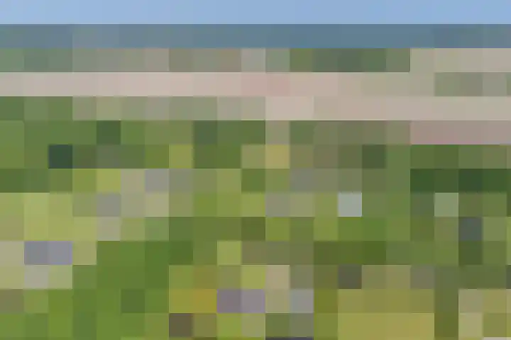 Groene Velden 145 Lelystad thumbnail 63