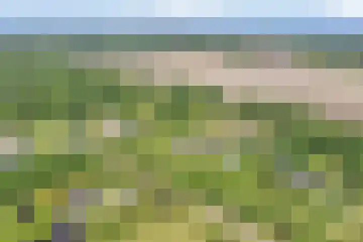 Groene Velden 145 Lelystad thumbnail 64