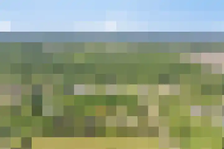 Groene Velden 145 Lelystad thumbnail 65