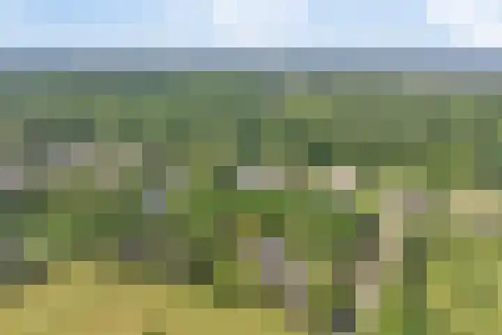 Groene Velden 145 Lelystad thumbnail 66