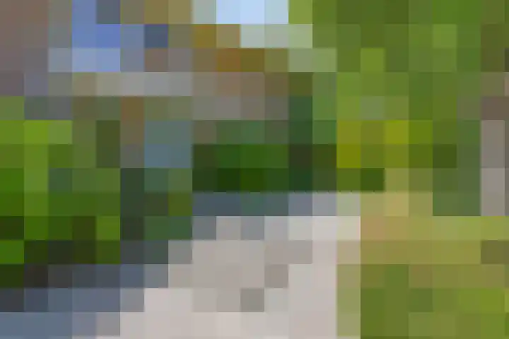 Groene Velden 145 Lelystad thumbnail 8