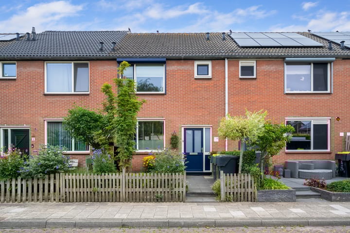 Groene Zoom 11 in Strijen foto