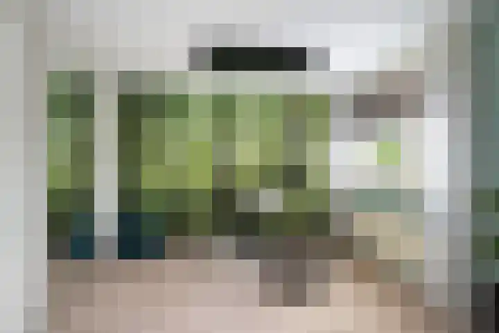 Groene Zoom 11 Strijen thumbnail 24