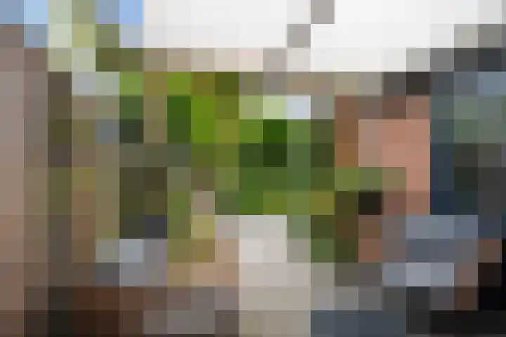 Groene Zoom 11 Strijen thumbnail 5