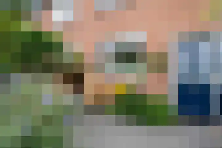 Groene Zoom 11 Strijen thumbnail 7