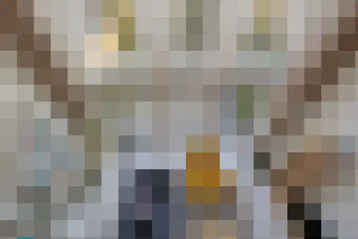 Groene Zoom 14 Delft thumbnail 19