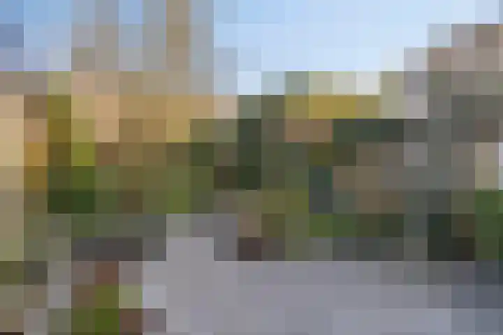 Groene Zoom 14 Delft thumbnail 41