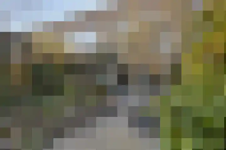 Groene Zoom 14 Delft thumbnail 44