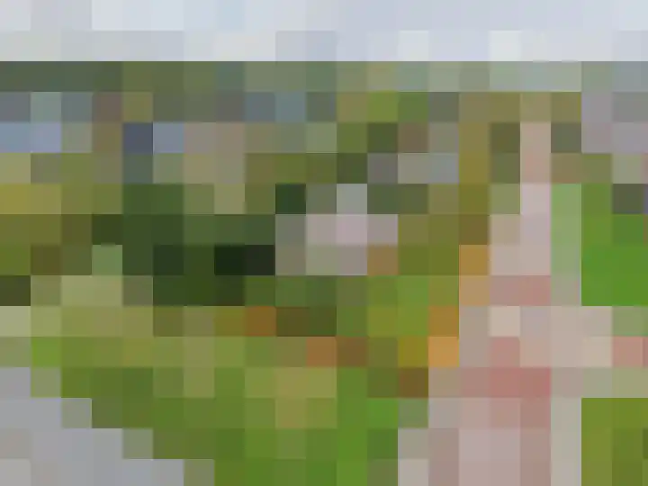 Groene Zoom 2 in Ten Boer