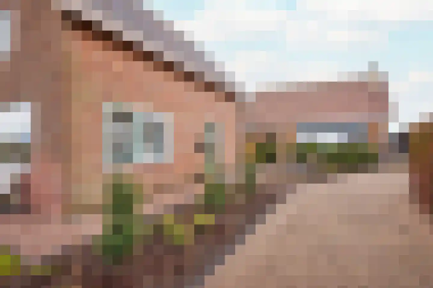 Groenedijk 2 Oost-Graftdijk thumbnail 38