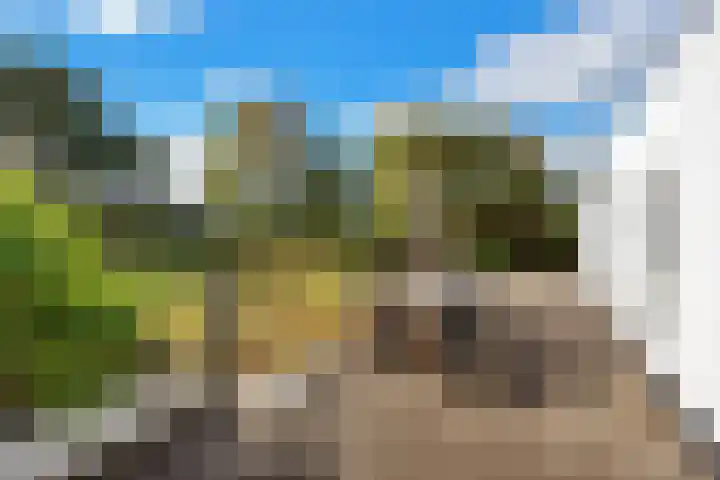 Groenedijk 36 Ouddorp thumbnail 27