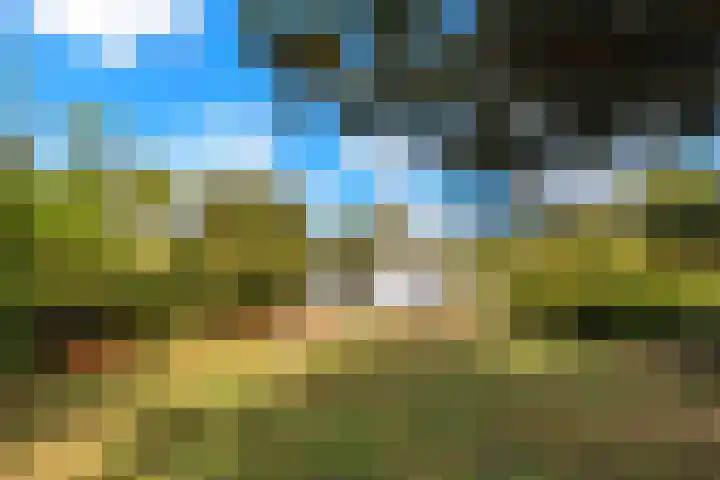 Groenedijk 36 Ouddorp thumbnail 28