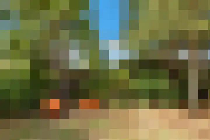 Groenedijk 36 Ouddorp thumbnail 29