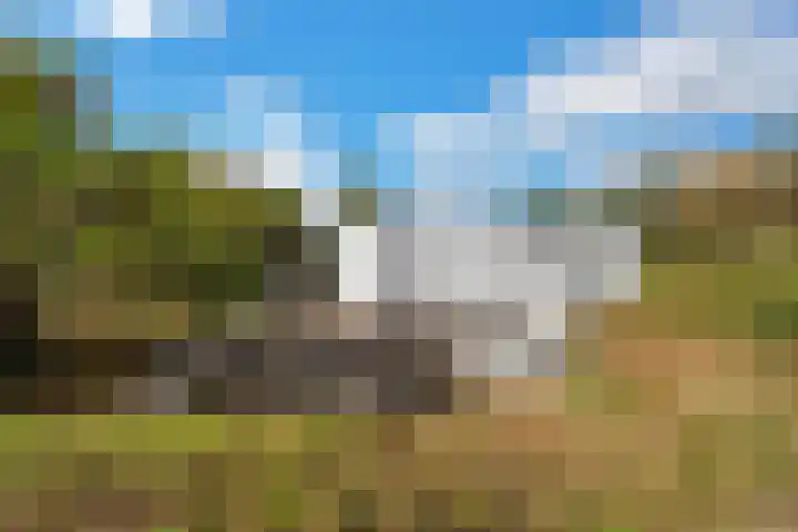 Groenedijk 36 Ouddorp thumbnail 31